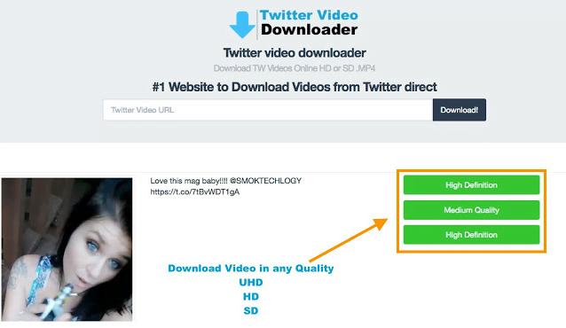 Twitter Video Downloader