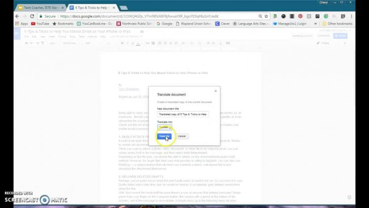 Selanjutnya di kolom Translate into, Anda pilih Indonesia