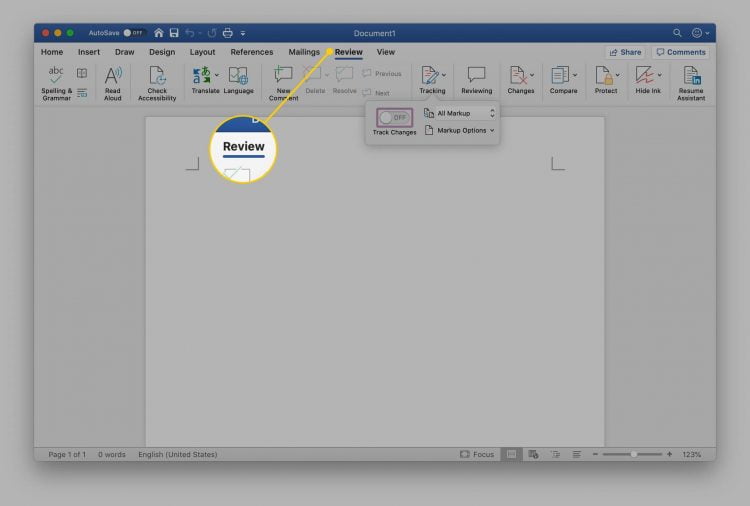 Setelah PDF terbuka di Microsoft Word, Anda klik tab Review