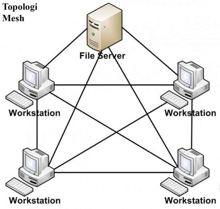 Topologi Mesh