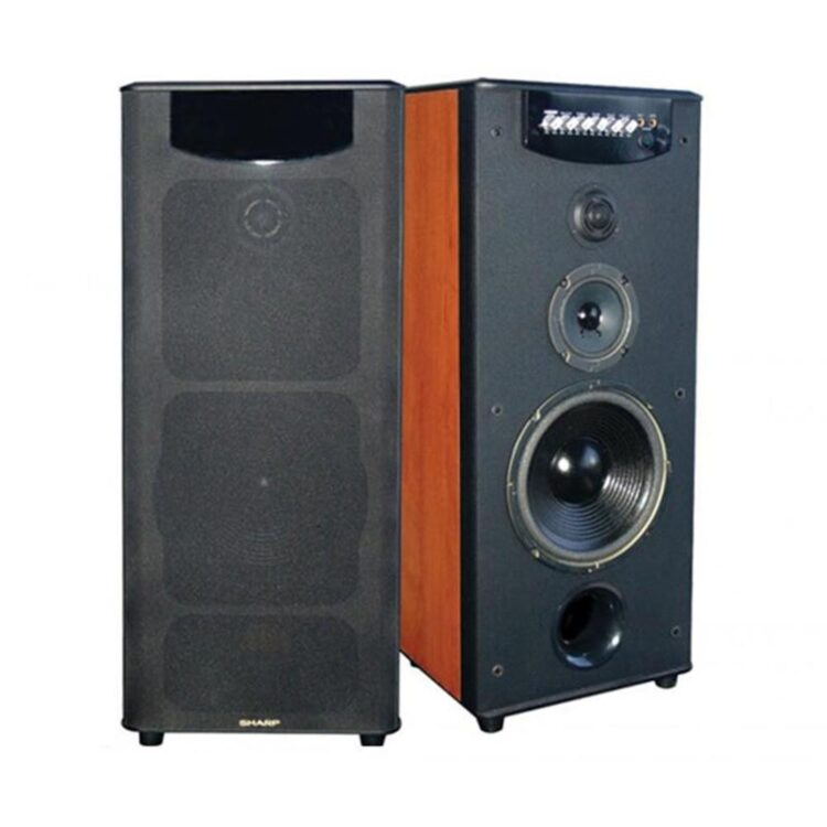 speaker karaoke terbaik murah