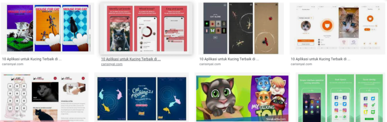 Aplikasi untuk kucing terbaik