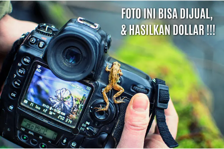 aplikasi jual foto online