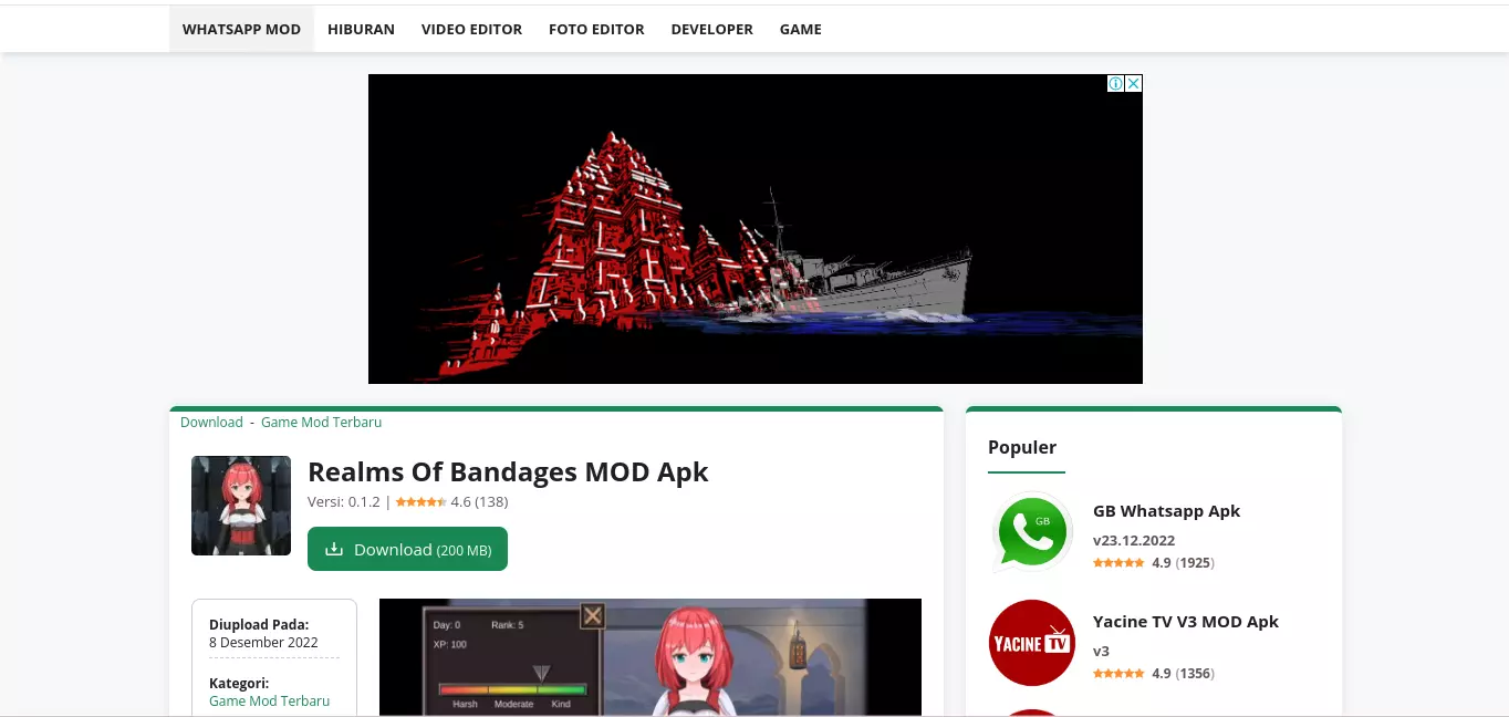 Download Realms of Bandages Apk Mod