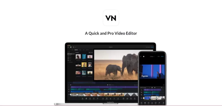 VN Mod APK