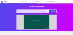 Aplikasi TikTok Downloader Tanpa Watermark