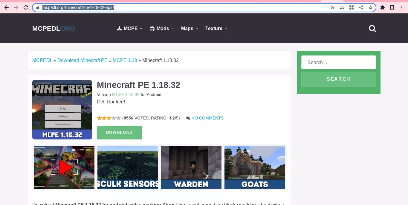 Minecraft 1.17.10