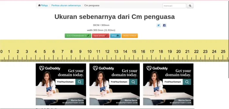 penggaris online