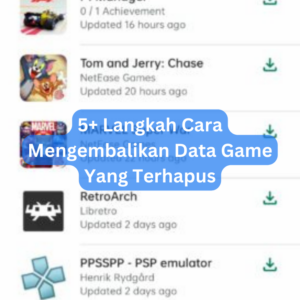 5+ Langkah Cara Mengembalikan Data Game Yang Terhapus