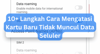 10+ Langkah Cara Mengatasi Kartu Baru Tidak Muncul Data Seluler