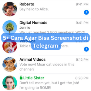 5+ Cara Agar Bisa Screenshot di Telegram 1 5+ Cara Agar Bisa Screenshot di Telegram