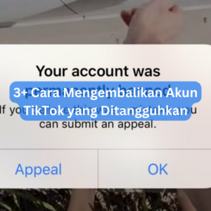 3+ Cara Mengembalikan Akun TikTok yang Ditangguhkan 1 3+ Cara Mengembalikan Akun TikTok yang Ditangguhkan