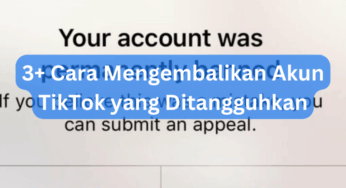 3+ Cara Mengembalikan Akun TikTok yang Ditangguhkan
