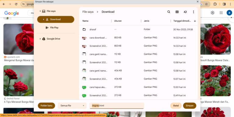 cara download gambar di google